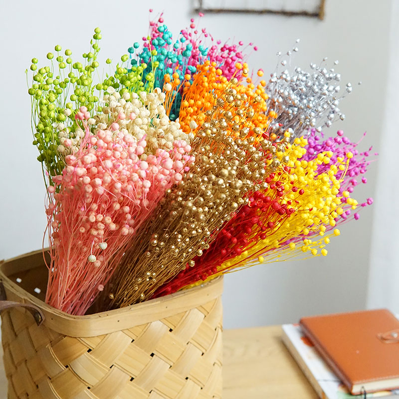 Dried Flower Bulk - 35g/Korunmuş Ormosia Hosiei Doğal Gerçek Çiçekler
