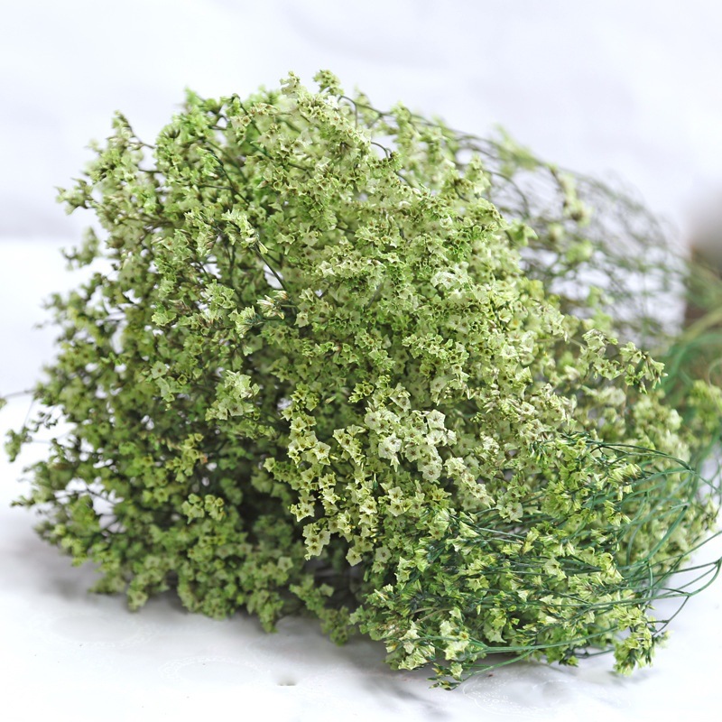 Dried Flower Bulk - Doğal Taze Kurutulmuş Korunmuş Çiçekler Kristal