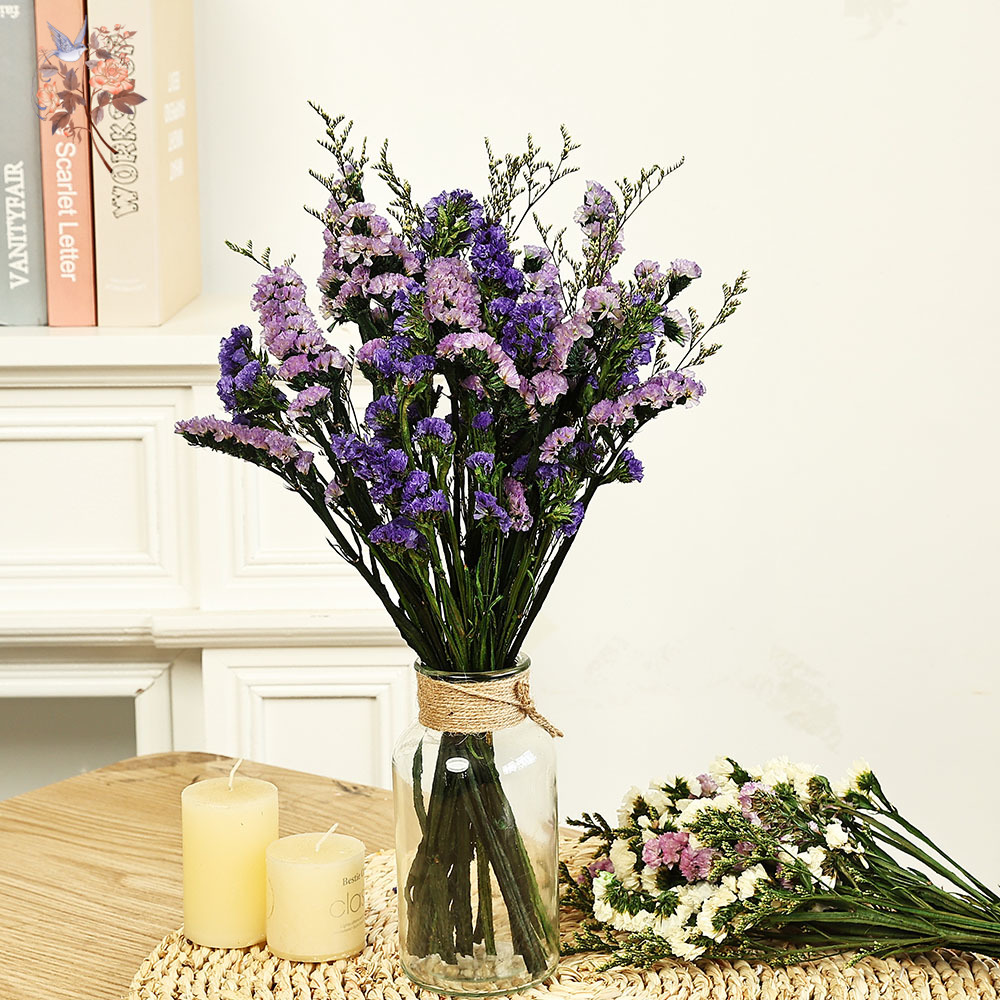 Dried Flower Bulk - 100g Doğal Gerçek Unutma beni Çiçek