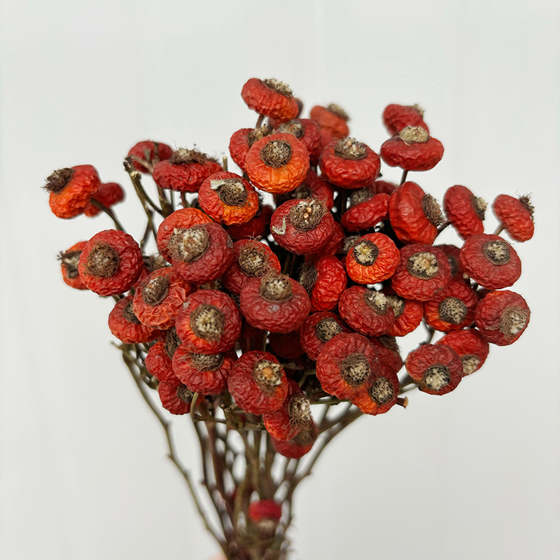 10 adet/demet kurutulmuş kuşbu - Dried Flower Bulk incelemesi ve fiyatı