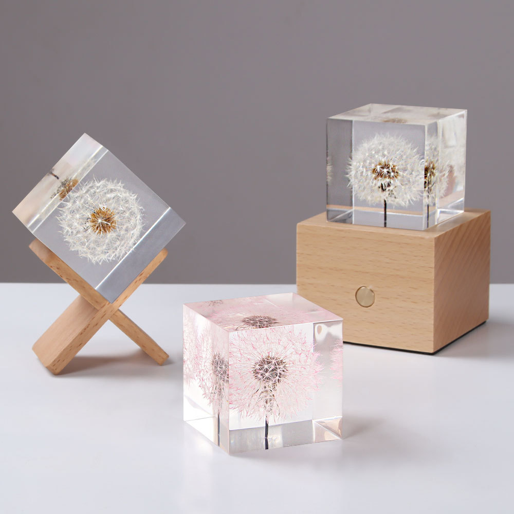 Karahindiba korunmuş taze çiçe - Flower Preservation Resin incelemesi ve fiyatı
