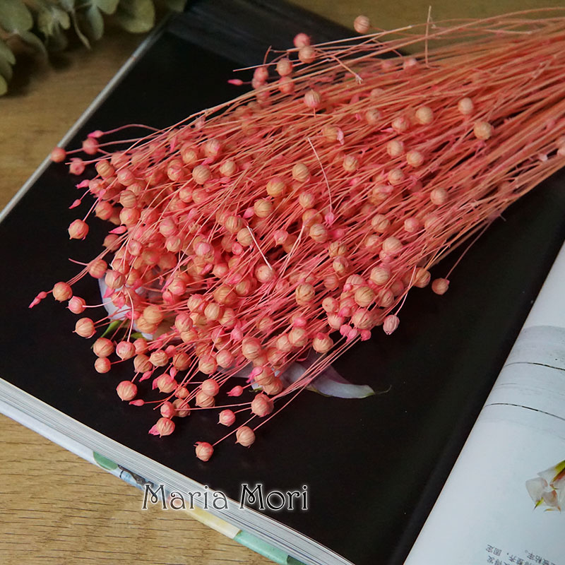35g/Korunmuş Ormosia Hosiei Do - Dried Flower Bulk incelemesi ve fiyatı