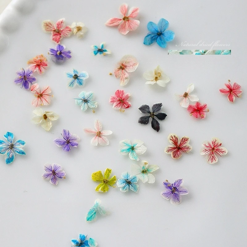 1 adet yaz degrade çiçek desen - Dried Flower Bulk incelemesi ve fiyatı
