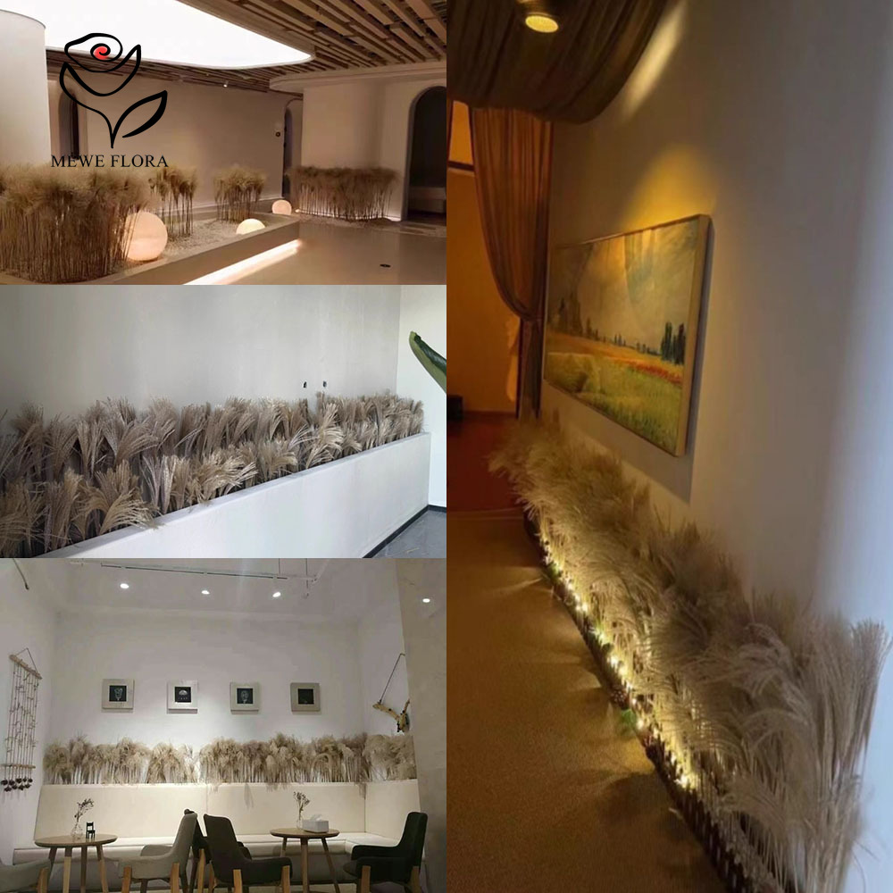 200 adet doğal kurutulmuş kaba - Dried Flower Bulk incelemesi ve fiyatı