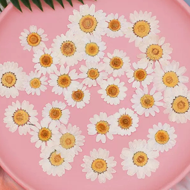 100 Adet Doğal Beyaz Kristal K - Resin Craft Ideas incelemesi ve fiyatı