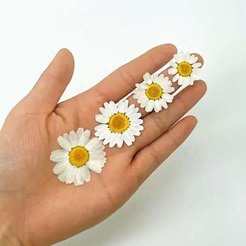 100 Adet Doğal Beyaz Kristal K - Resin Craft Ideas incelemesi ve fiyatı