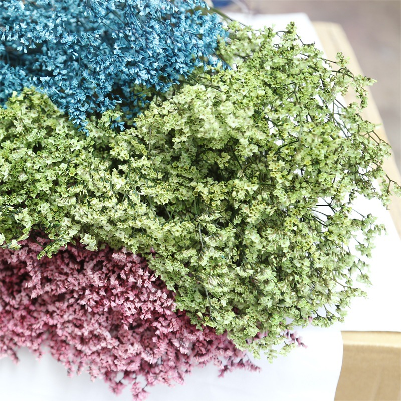 Doğal Taze Kurutulmuş Korunmuş - Dried Flower Bulk incelemesi ve fiyatı