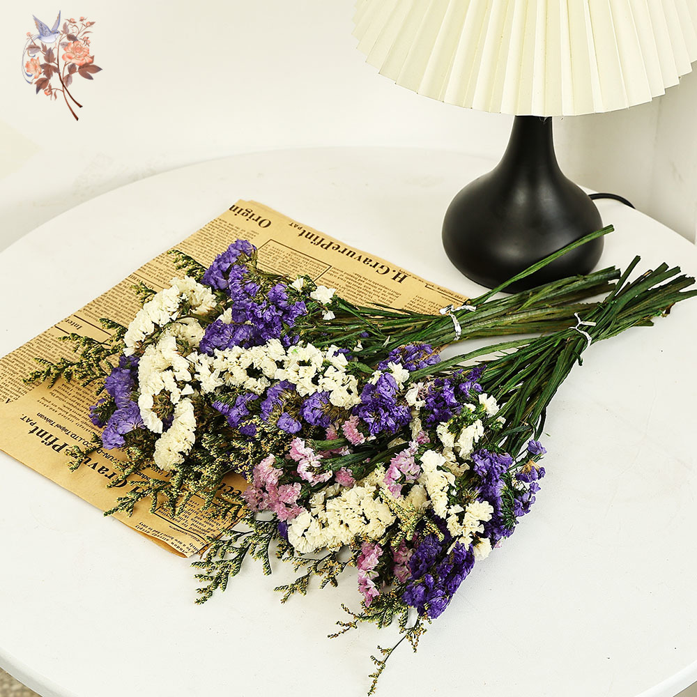 100g Doğal Gerçek Unutma beni  - Dried Flower Bulk incelemesi ve fiyatı